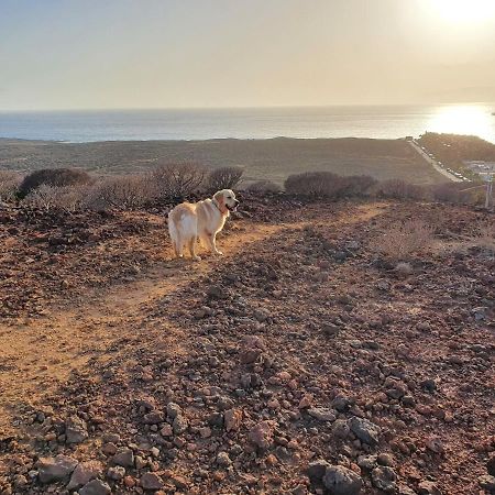 Maravilloso Y Tranquilo Alojamiento En El Palm-Mar Eksteriør billede